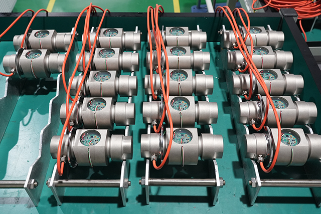 DSC06137s.jpg DSC06137s.jpg